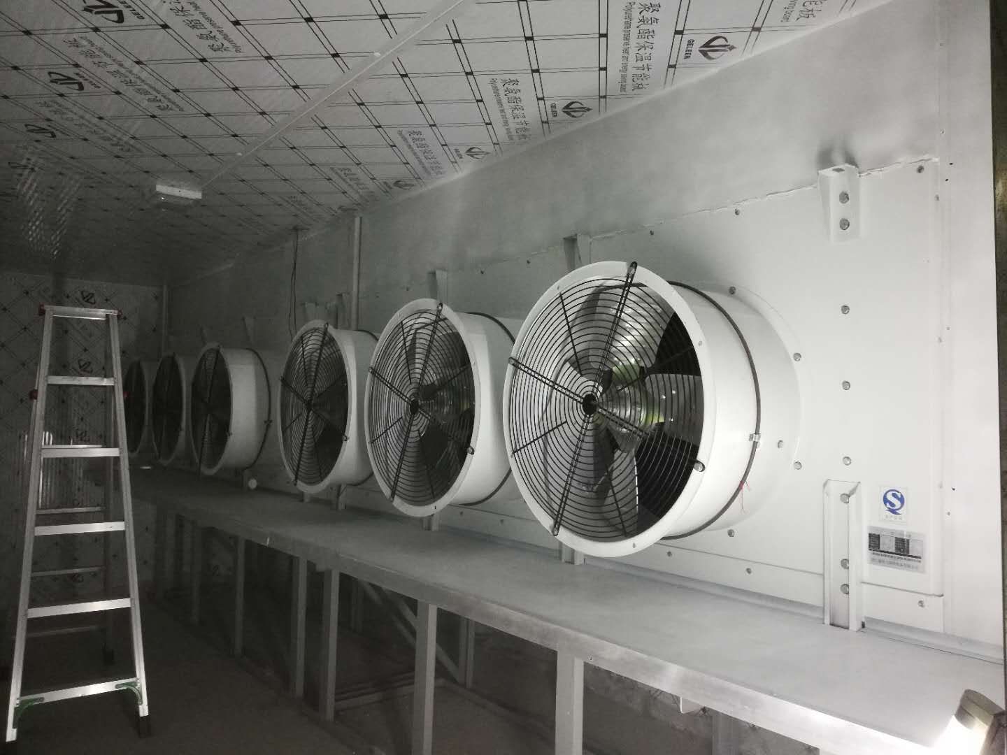 水產速凍冷庫 海鮮急凍庫